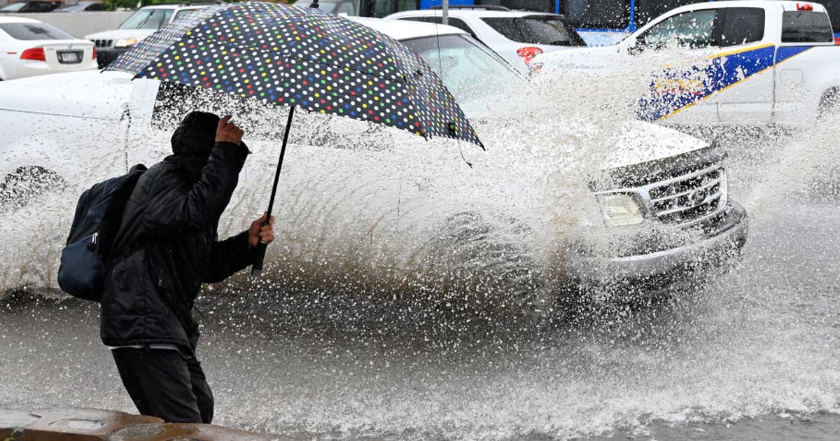 biblical rain: man holds umbrella trying to cross the street during rain
